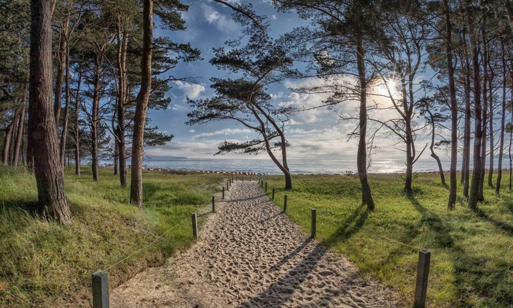 Direkt Am Strand Mit Meerblick Und Sauna - Fewo Strandidyll Binz Bagian luar foto